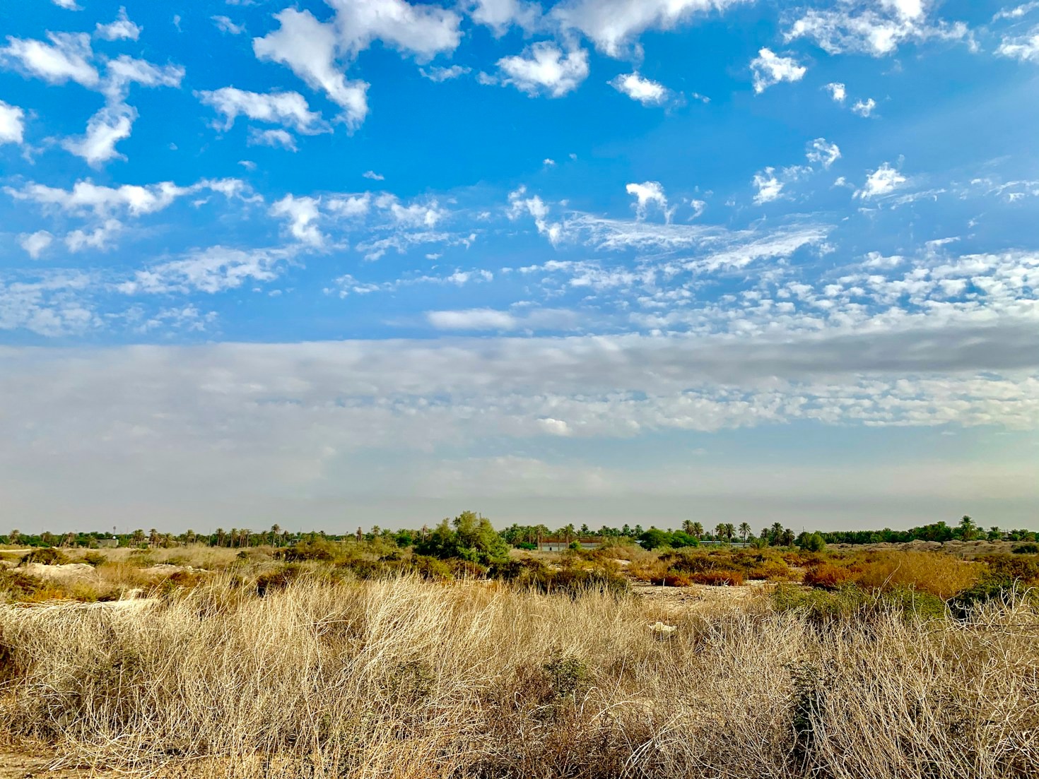 O Poder do Diagnóstico em Estratégias Digitais